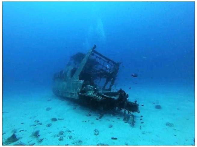 Экосистему Северного моря изменил затонувший корабль времен Второй мировой войны