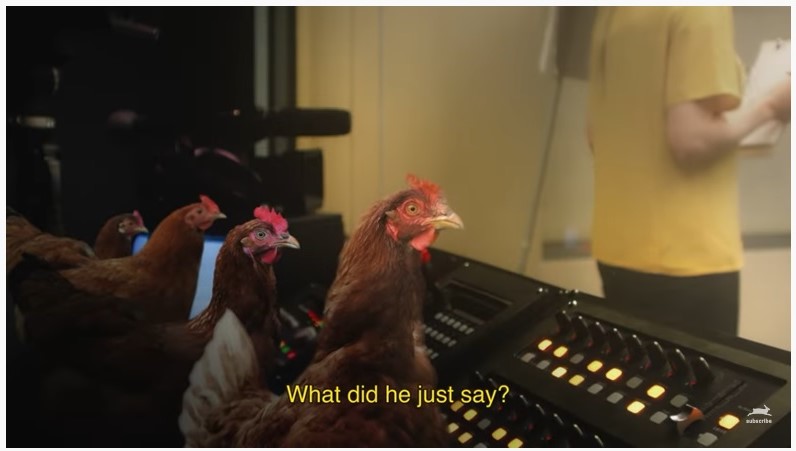 Новый рекламный ролик PETA посвящен защите куриц