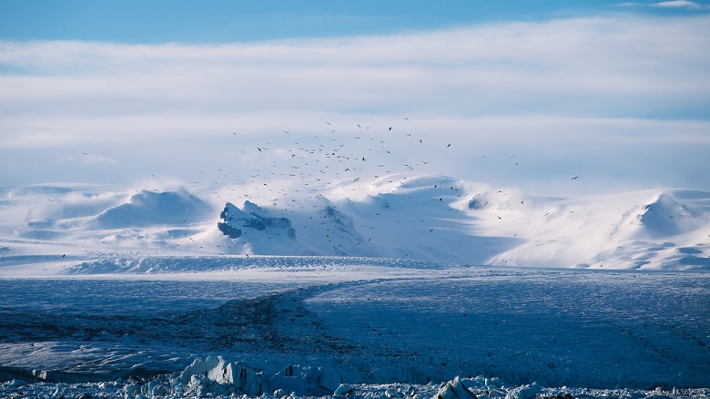Ледники Антарктиды не затронуты глобальным потеплением