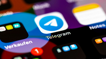 В Telegram создали бота для эковолонтеров