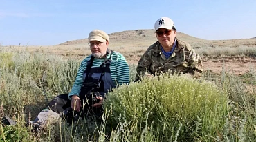 В Казахстане нашли новый вид растения 