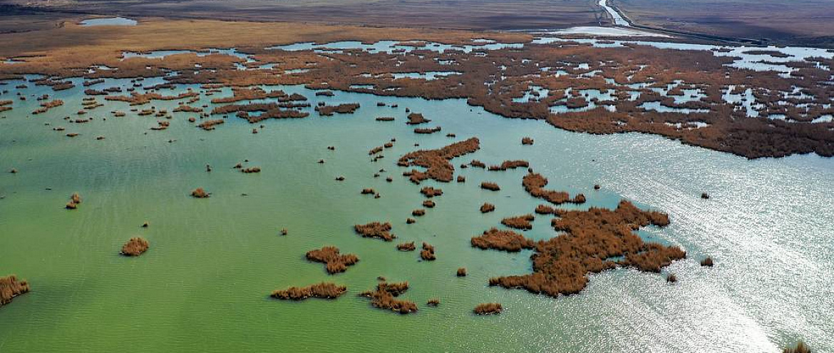 Уровень воды в крупнейших озерах Земли существенно снизился за последние 30 лет 