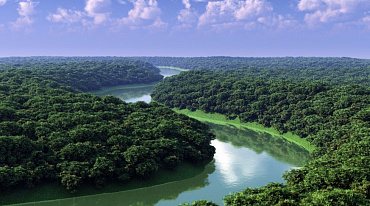 В Бразилии борются с вырубкой лесов с помощью новых технологий