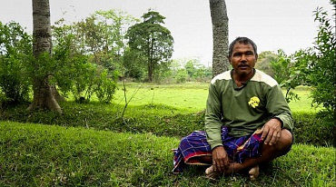 Один человек посадил более 500 гектаров леса