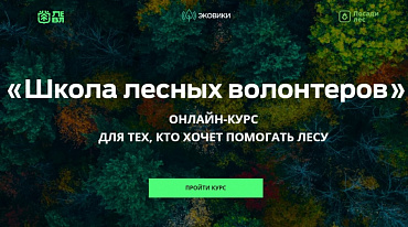 Ecowiki запустила бесплатный онлайн-курс «Школа лесных волонтеров»