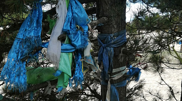 В Прибайкальском нацпарке очистили деревья от "лент желаний"