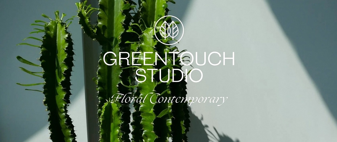 Green Touch Studio предлагает растения в кашпо в качестве альтернативы букетам