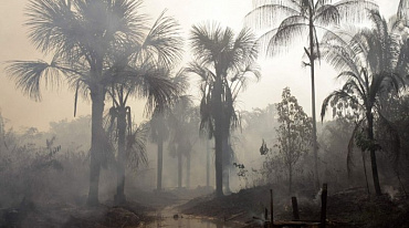 Засуха в Амазонии опасна для всего региона