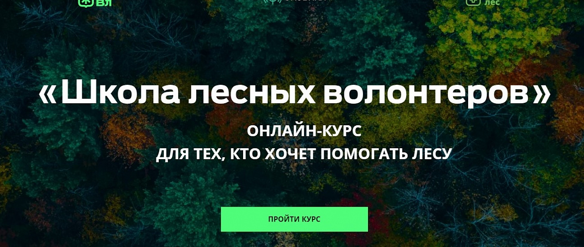 Ecowiki запустила бесплатный онлайн-курс «Школа лесных волонтеров»