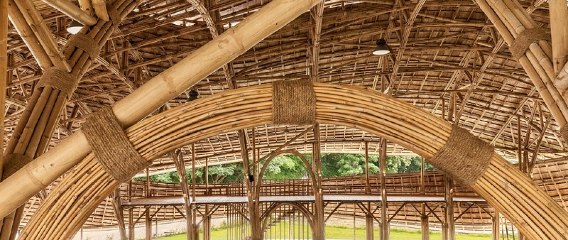Бамбуковый спортивный зал создает «праздник для глаз»