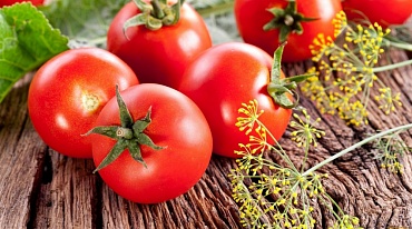 Изменение климата снизит урожайность помидоров