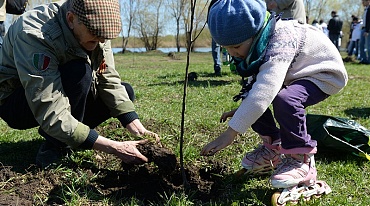 В Москве продолжается экологическая акция «Миллион деревьев»