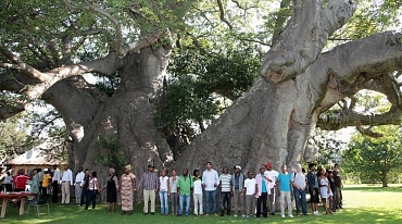 Бар Sunland Baobab располагался внутри дерева