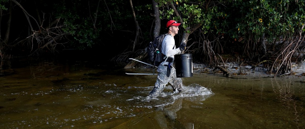 Американец самостоятельно очистил мангровые леса от мусора