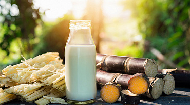 Ученые разработали растительное молоко из сахарного тростника
