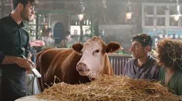 В эфире «Евровидения» показали ролик о влиянии животноводства на окружающую среду