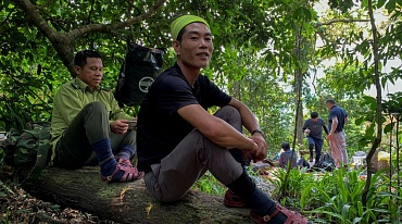 Ради спасения джунглей лесорубы-браконьеры во Вьетнаме переучились на туристических гидов 