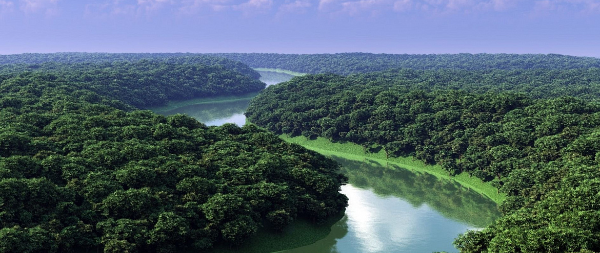 В Бразилии борются с вырубкой лесов с помощью новых технологий